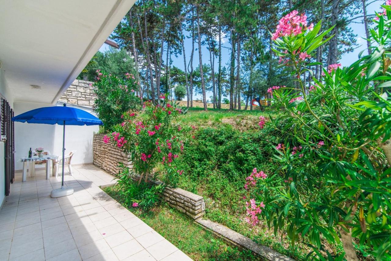 Apartments Pino ראבץ מראה חיצוני תמונה